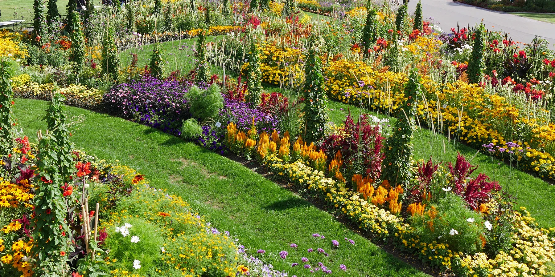 Cultivez votre bonheur au jardin