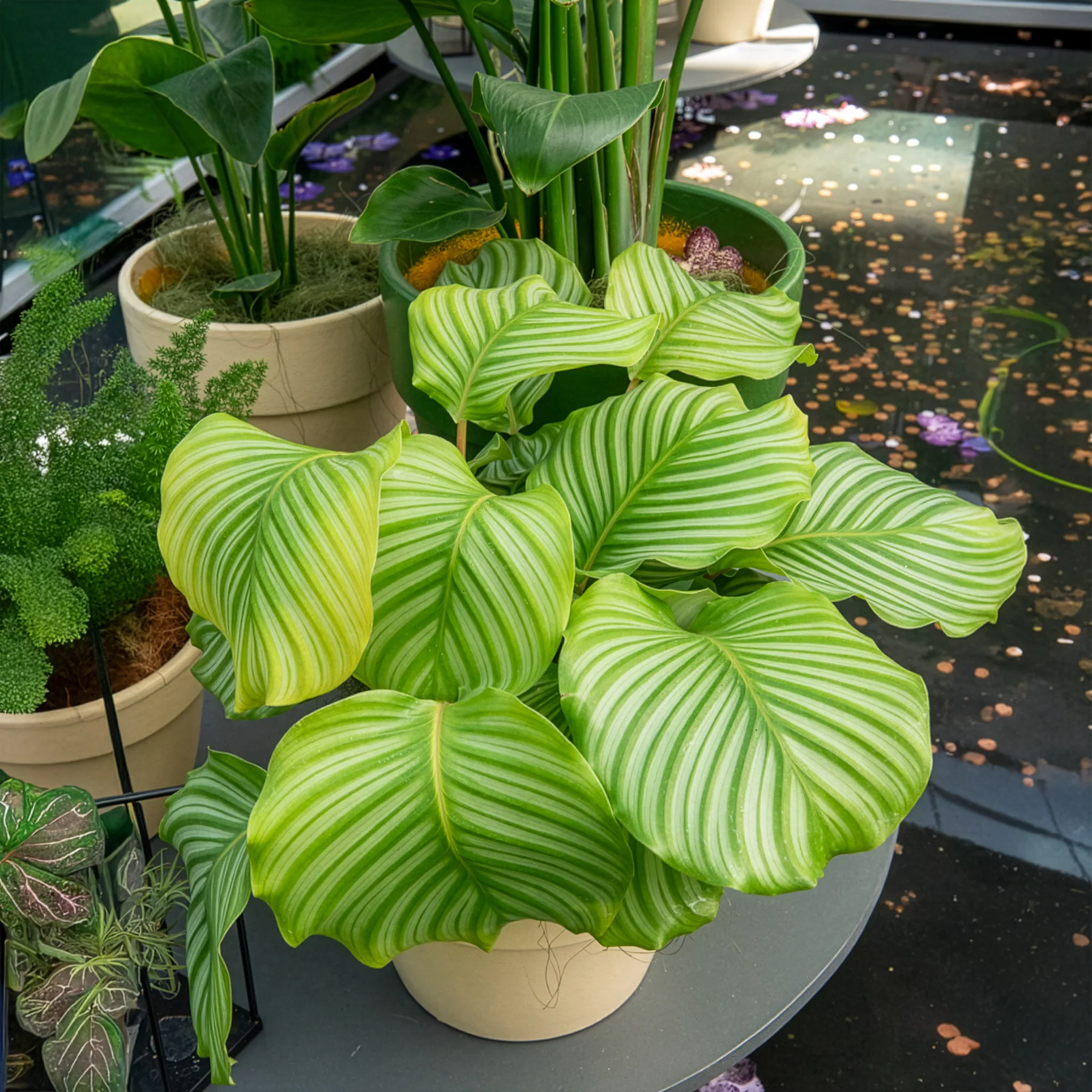 Image du produit 4