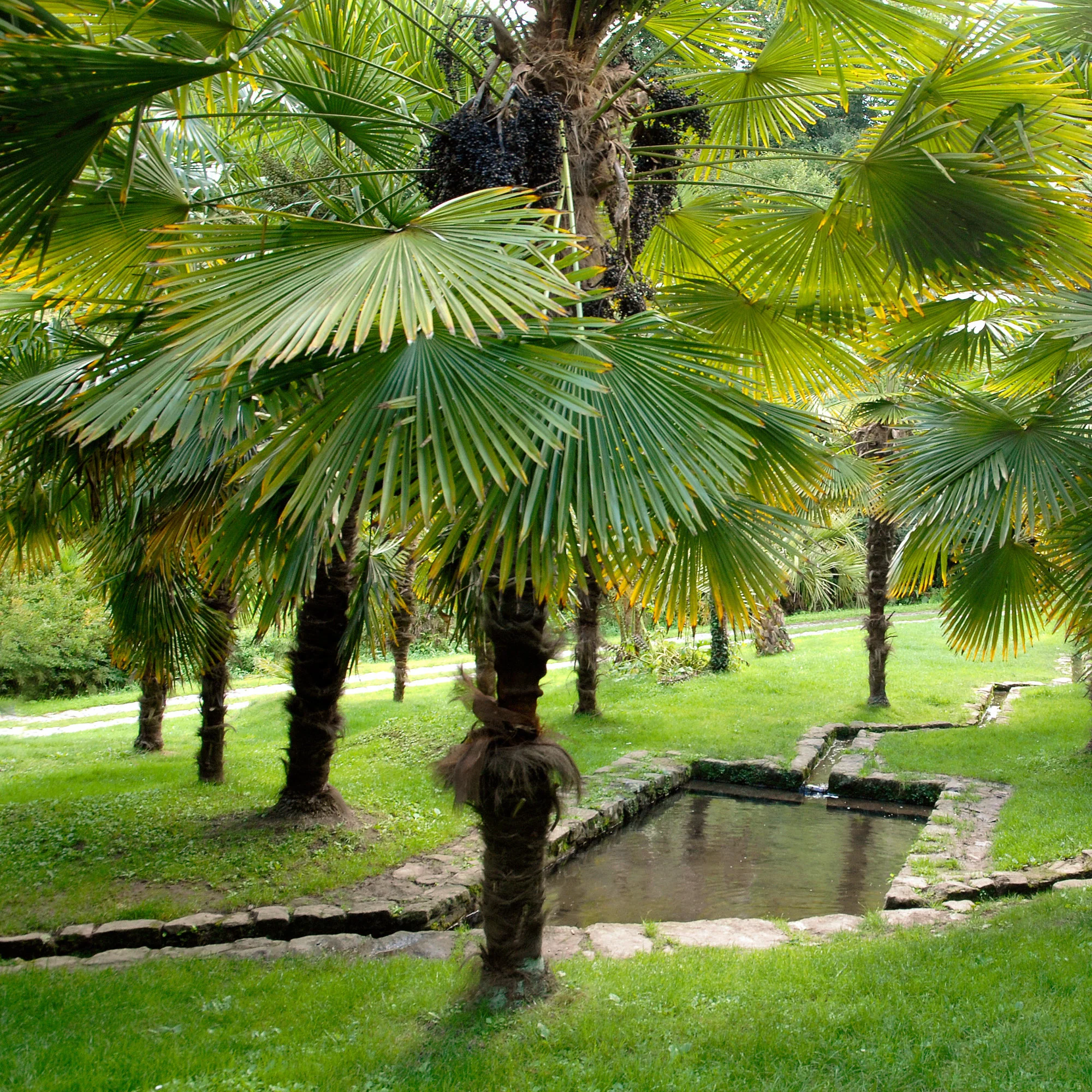 Image du produit 5
